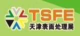 展会标题图片：2013第十届中国（天津）国际涂装、电镀及表面处理展览会