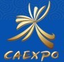 展会标题图片：2013第十届中国—东盟博览会（东博会 CAEXPO）